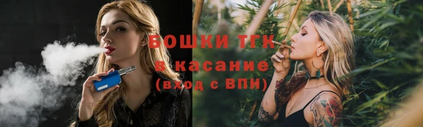 соль ск Переславль-Залесский