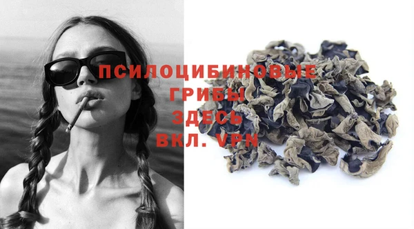 соль ск Переславль-Залесский