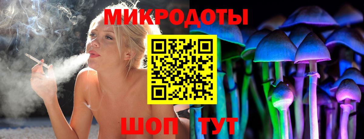 Псилоцибиновые грибы Psilocybe  Псилоцибиновые грибы мицелий  Волоколамск  Вход с VPN 